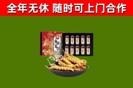 缙云县回收冬虫夏草价格